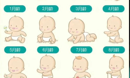 小儿化痰止咳颗粒小葵花-小儿化痰止咳颗粒作用吗网 - 网站提供小儿化痰止咳颗粒小葵花小常识、小儿化痰止咳颗粒有哪些